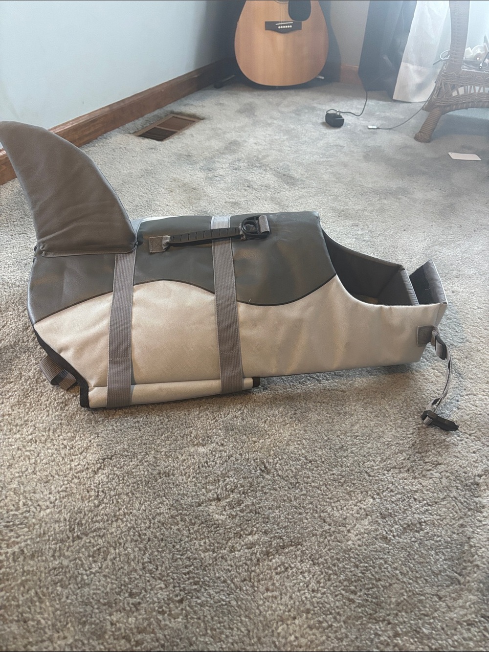 Shark life fest for dog